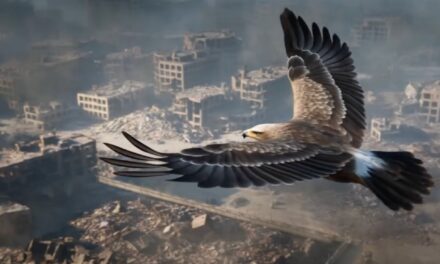 The Truth About the Eagle